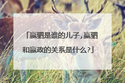 嬴驷是谁的儿子,赢驷和嬴政的关系是什么?