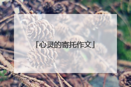 心灵的寄托作文