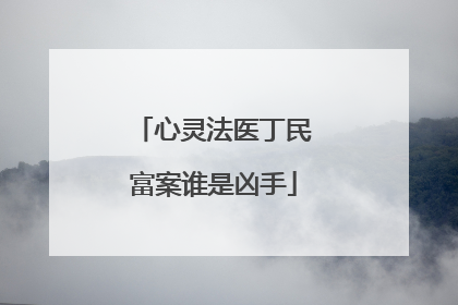 心灵法医丁民富案谁是凶手