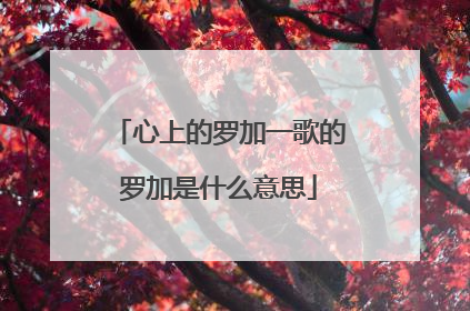 心上的罗加一歌的罗加是什么意思