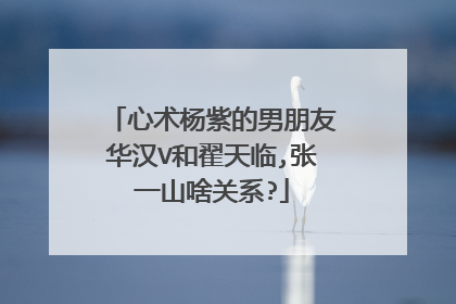 心术杨紫的男朋友华汉V和翟天临,张一山啥关系?