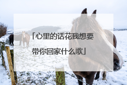 心里的话花我想要带你回家什么歌