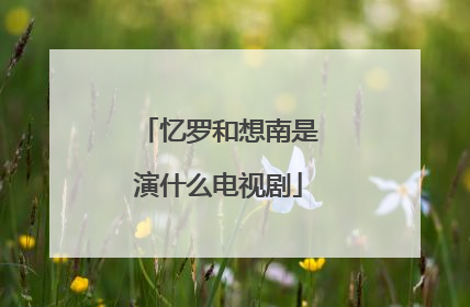 忆罗和想南是演什么电视剧