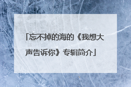 忘不掉的海的《我想大声告诉你》专辑简介