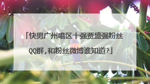 快男广州唱区十强贾盛强粉丝QQ群,和粉丝微博谁知道?