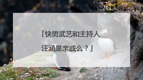 快男武艺和主持人汪涵是亲戚么?