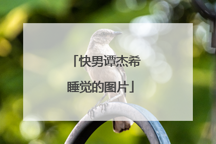 快男谭杰希睡觉的图片