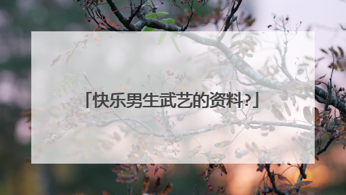 快乐男生武艺的资料?