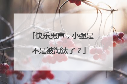 快乐男声,小强是不是被淘汰了?