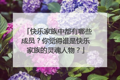 快乐家族中都有哪些成员？你觉得谁是快乐家族的灵魂人物？