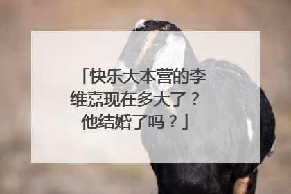 快乐大本营的李维嘉现在多大了？他结婚了吗？