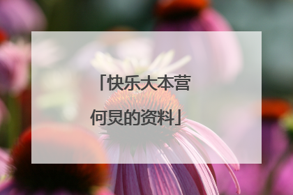 快乐大本营何炅的资料