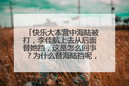 快乐大本营中海陆被打，李佳航上去从后面替她挡，这是怎么回事？为什么替海陆挡呢，还是抱着的？