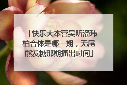 快乐大本营吴昕潘玮柏合体是哪一期,无尾熊发糖那期播出时间