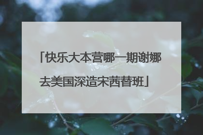 快乐大本营哪一期谢娜去美国深造宋茜替班