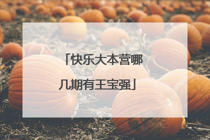 快乐大本营哪几期有王宝强