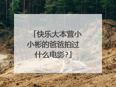 快乐大本营小小彬的爸爸拍过什么电影?