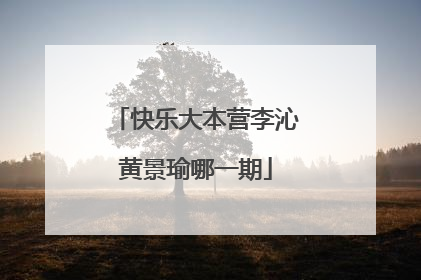 快乐大本营李沁黄景瑜哪一期