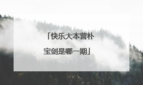 快乐大本营朴宝剑是哪一期