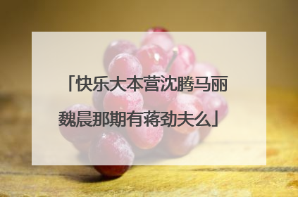 快乐大本营沈腾马丽魏晨那期有蒋劲夫么