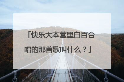 快乐大本营里白百合唱的那首歌叫什么？