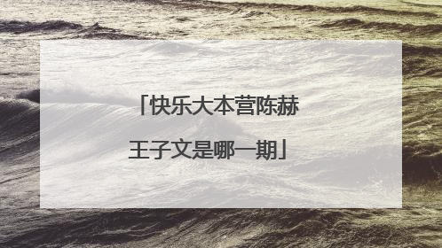 快乐大本营陈赫王子文是哪一期
