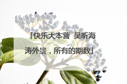 快乐大本营 吴昕海涛外景,所有的期数