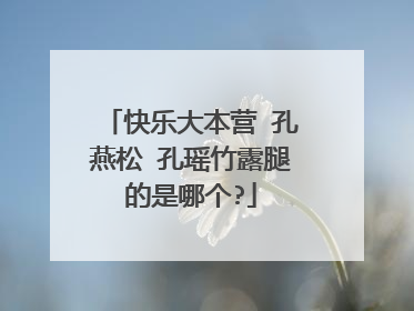 快乐大本营 孔燕松 孔瑶竹露腿的是哪个?