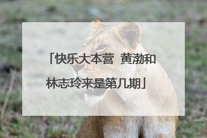 快乐大本营 黄渤和林志玲来是第几期