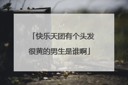 快乐天团有个头发很黄的男生是谁啊