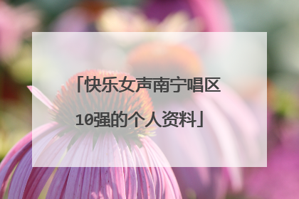 快乐女声南宁唱区10强的个人资料