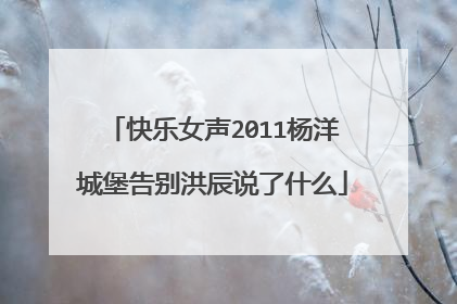 快乐女声2011杨洋城堡告别洪辰说了什么