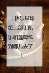 快乐星球第二部丁凯乐和莲蓉包到哪儿去了