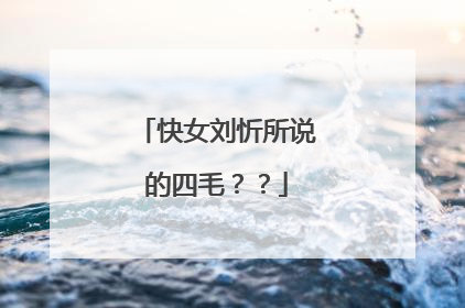 快女刘忻所说的四毛？？