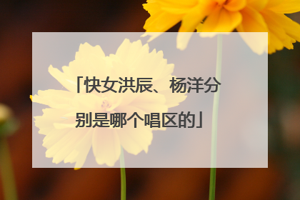 快女洪辰、杨洋分别是哪个唱区的