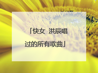 快女 洪辰唱过的所有歌曲