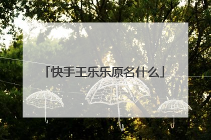 快手王乐乐原名什么