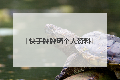 快手牌牌琦个人资料