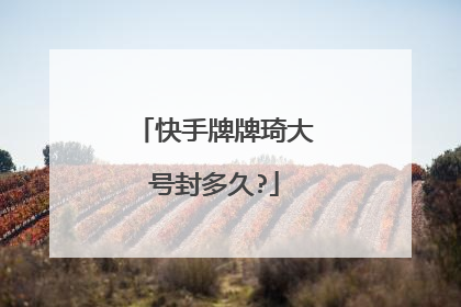 快手牌牌琦大号封多久?