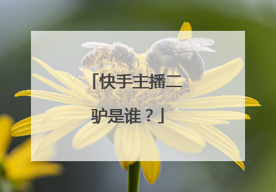 快手主播二驴是谁？