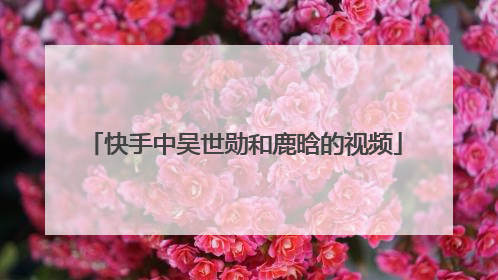 快手中吴世勋和鹿晗的视频