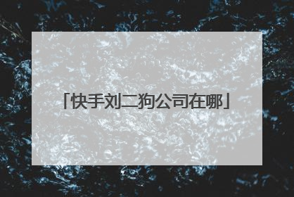 快手刘二狗公司在哪