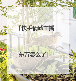 快手情感主播东方怎么了