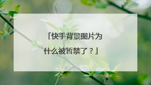 快手背景图片为什么被暂禁了?