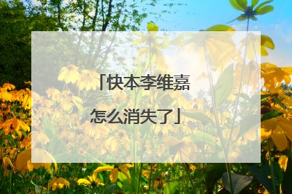 快本李维嘉怎么消失了