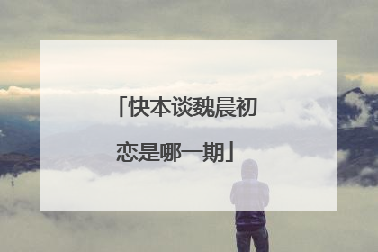 快本谈魏晨初恋是哪一期