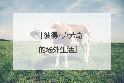 彼得·克劳奇的场外生活