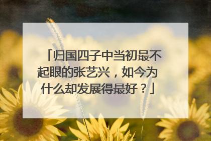 归国四子中当初最不起眼的张艺兴，如今为什么却发展得最好？