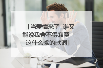 当爱情来了 谁又能说我舍不得寂寞 这什么歌的歌词
