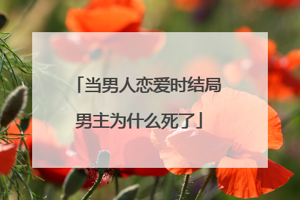 当男人恋爱时结局男主为什么死了